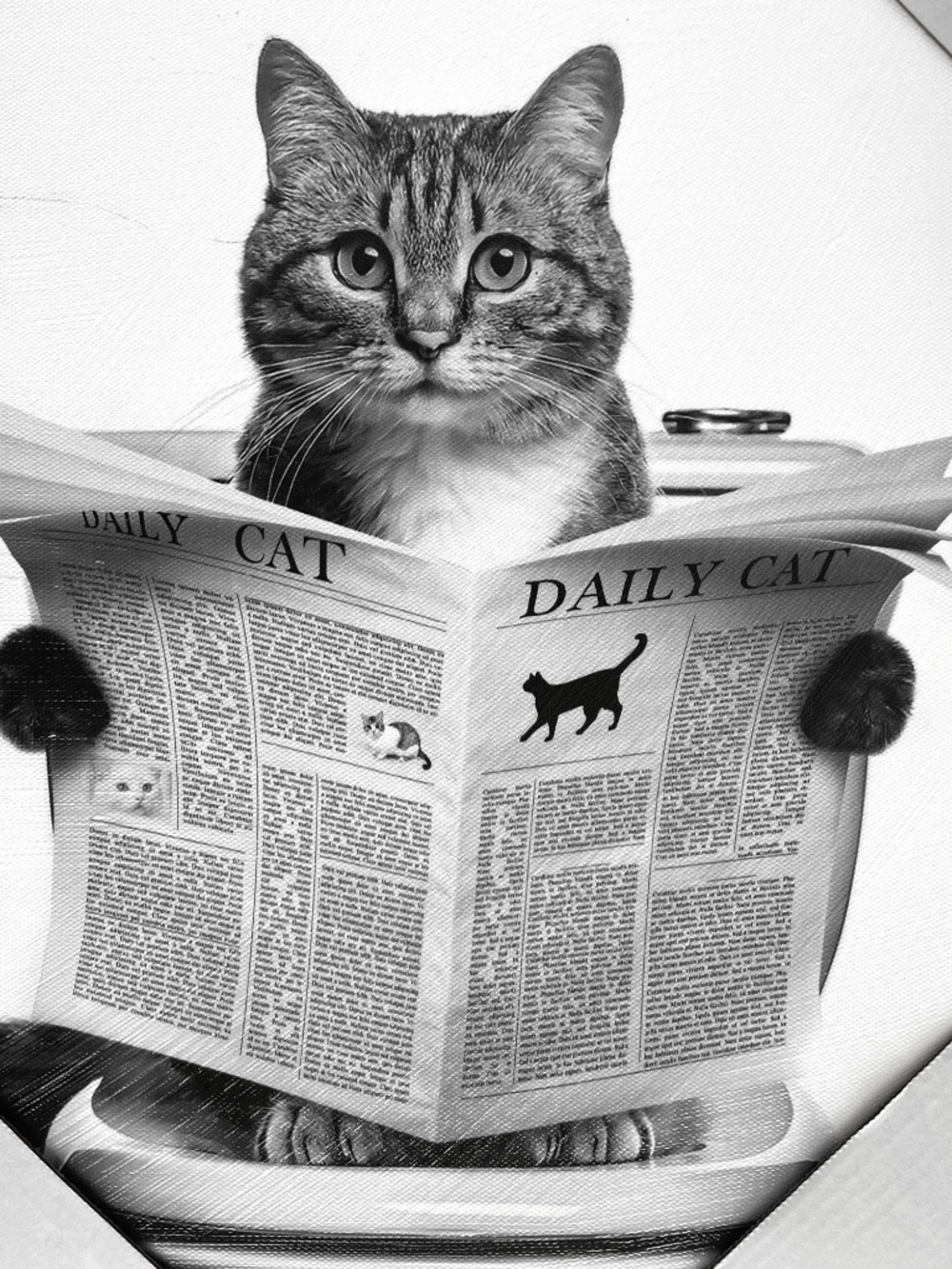 Cat Reading Newspaper Hanging Canvas